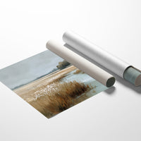 Where the Marsh Meets the Sky