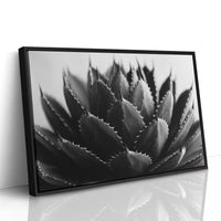Desert Spines Dance In Moonlight