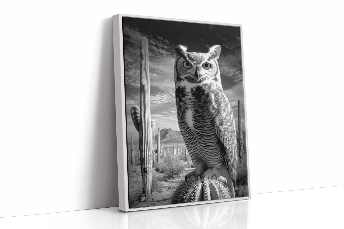 Saguaro Nights Watch The Owl