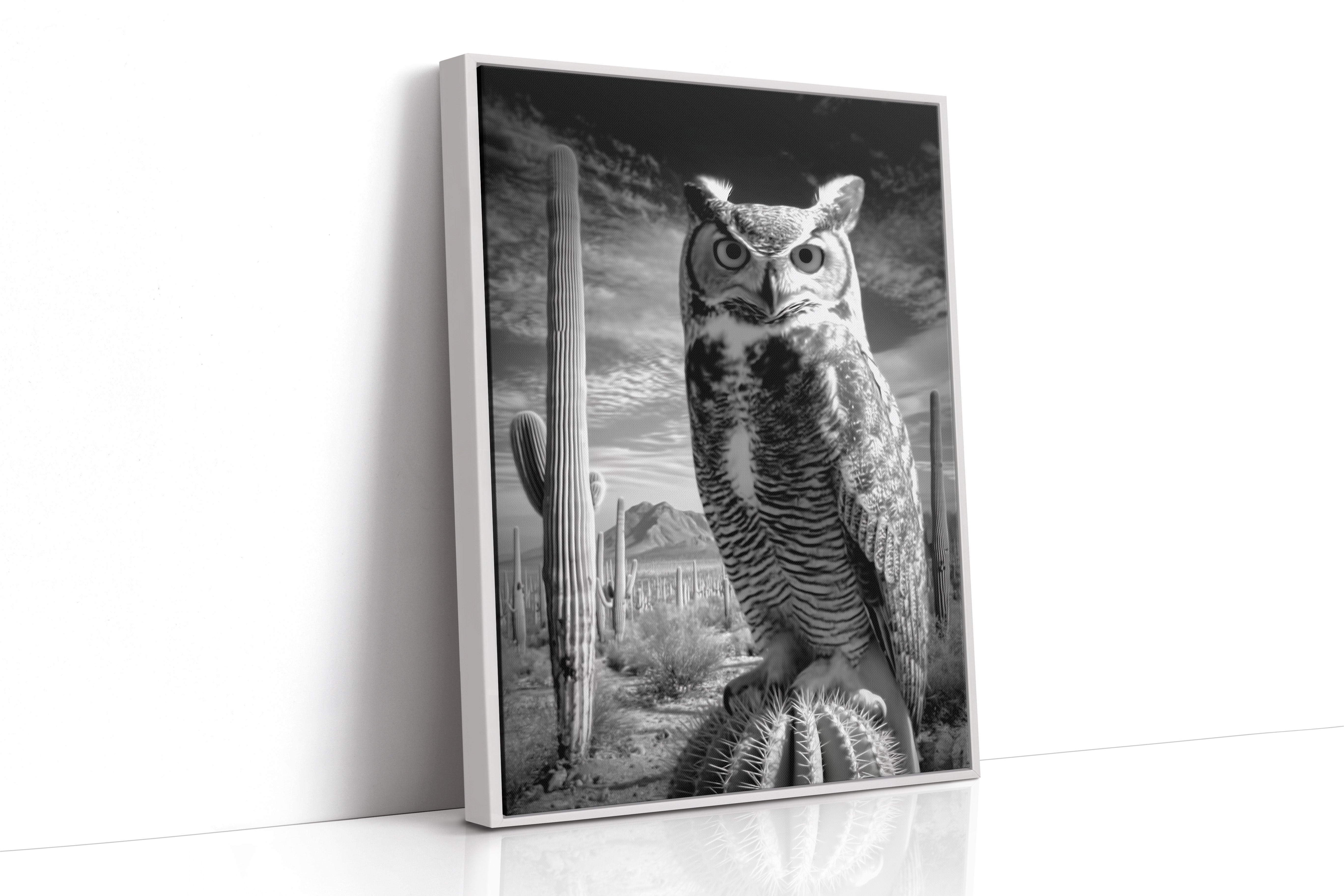 Saguaro Nights Watch The Owl