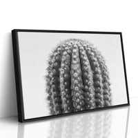 Spines Dance In Silver Light