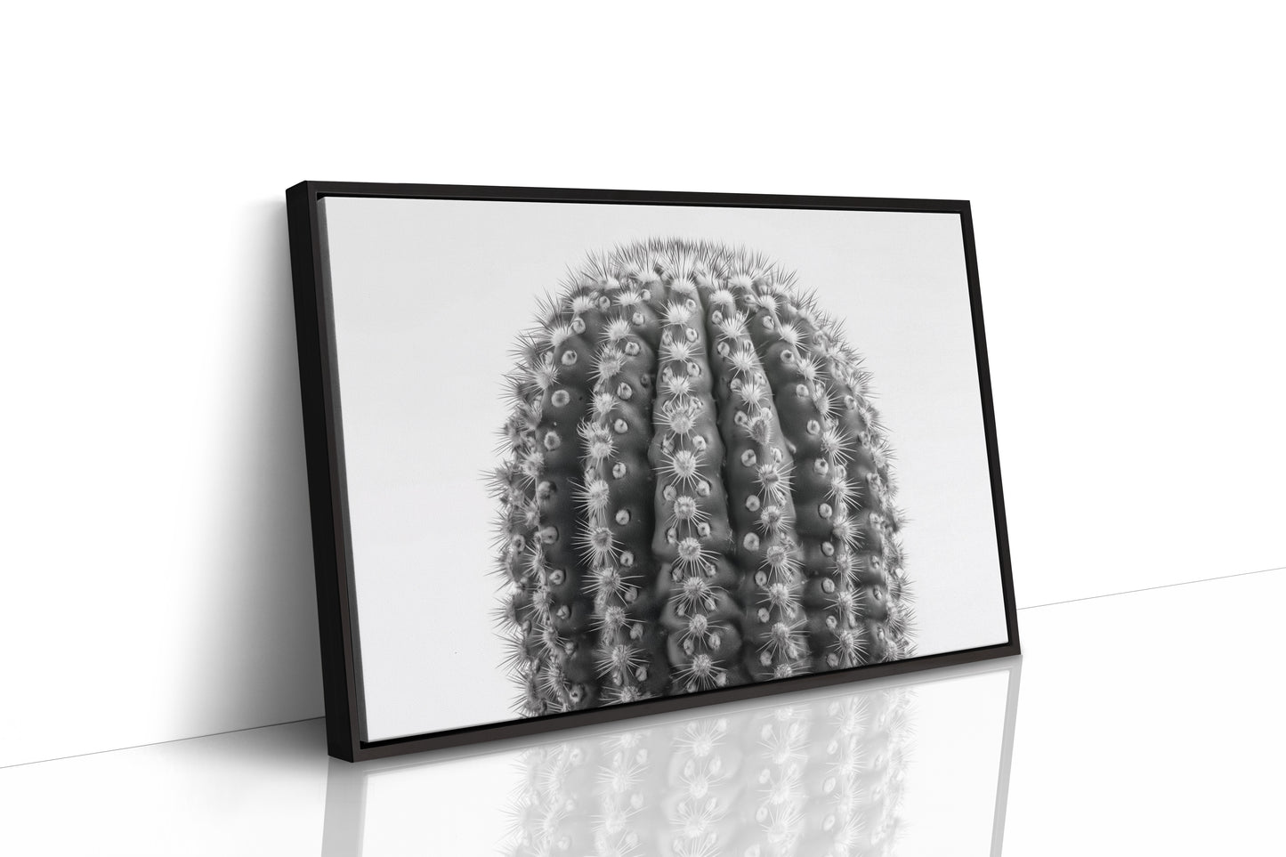 Spines Dance In Silver Light