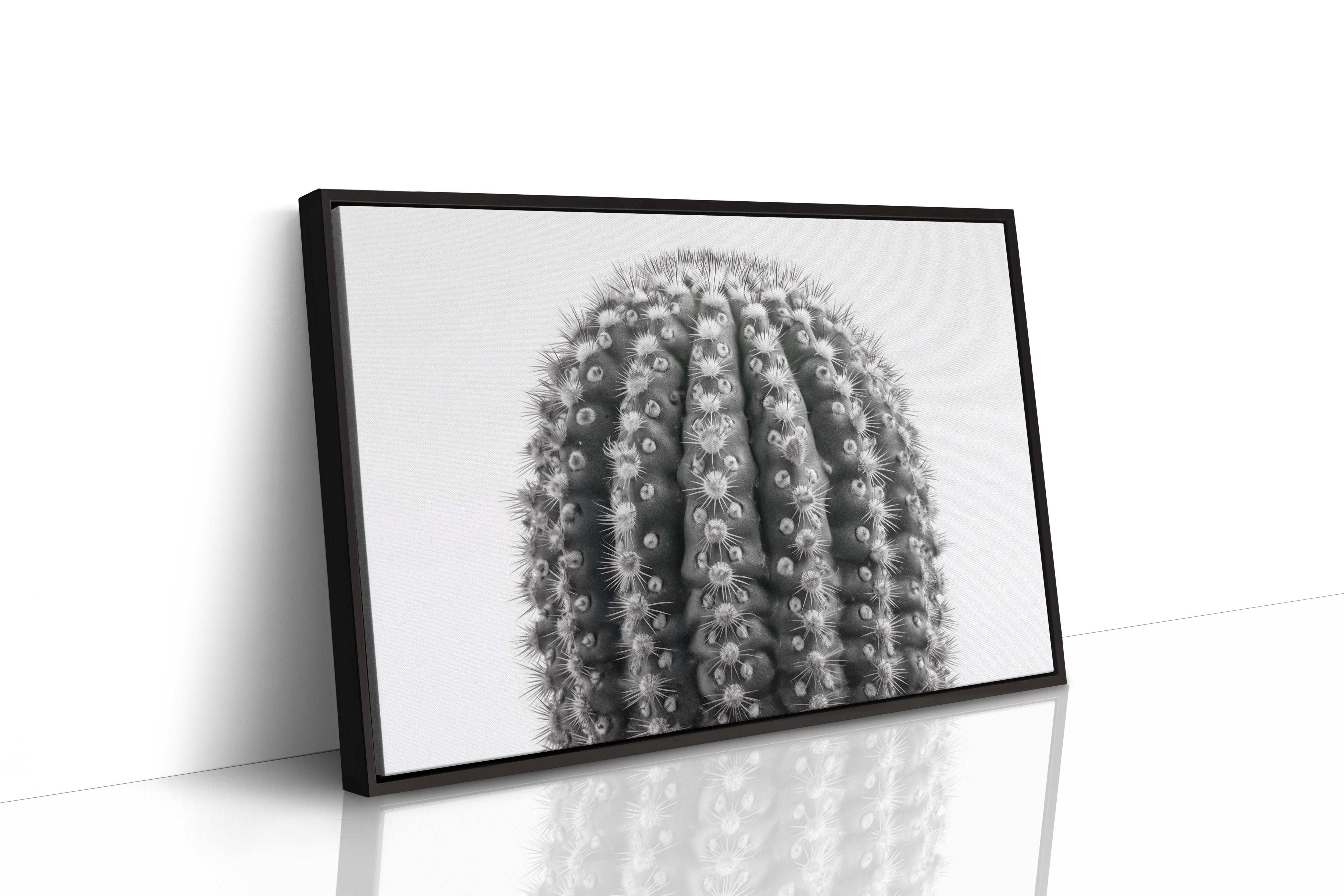 Spines Dance In Silver Light