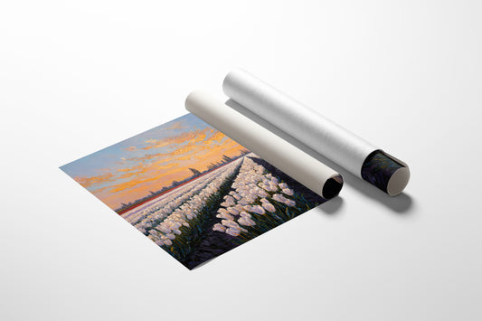 Fields of Light and Bloom
