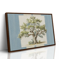 Weathered Olive Tree Study