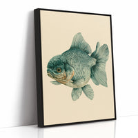 The Lion-Headed Goldfish, Studied in Ink