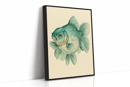 The Curious Goldfish, Face to Face