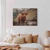 Highland Morning Mist And Stone