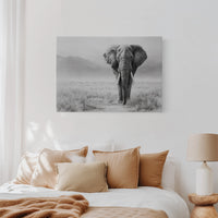 Wisdom Walks The Savanna Plains