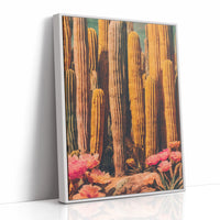 Saguaros Paint Their Desert Stories