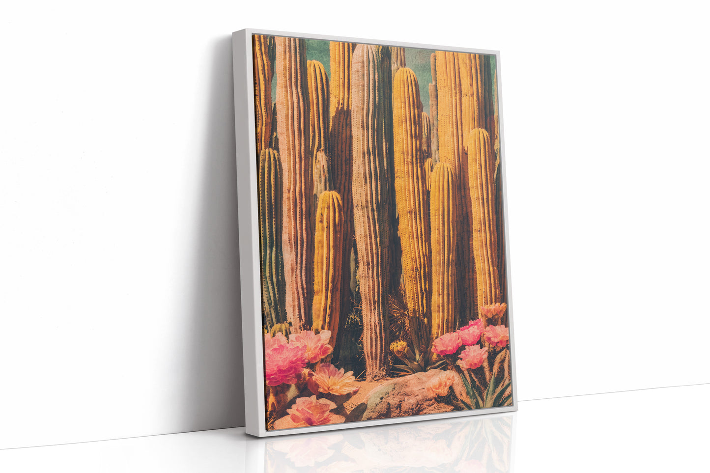 Saguaros Paint Their Desert Stories