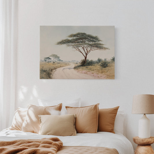 Acacia Bends Over Winding Path