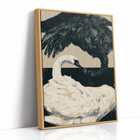 Black-Necked Swan on the Waterline