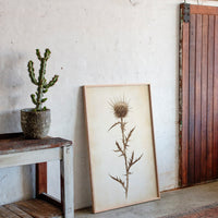 Gallery image 10 for Vintage Thistle Botanical Print – Rustic Western Floral Wall Art