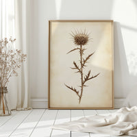 Gallery image 13 for Vintage Thistle Botanical Print – Rustic Western Floral Wall Art