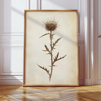 Gallery image 15 for Vintage Thistle Botanical Print – Rustic Western Floral Wall Art