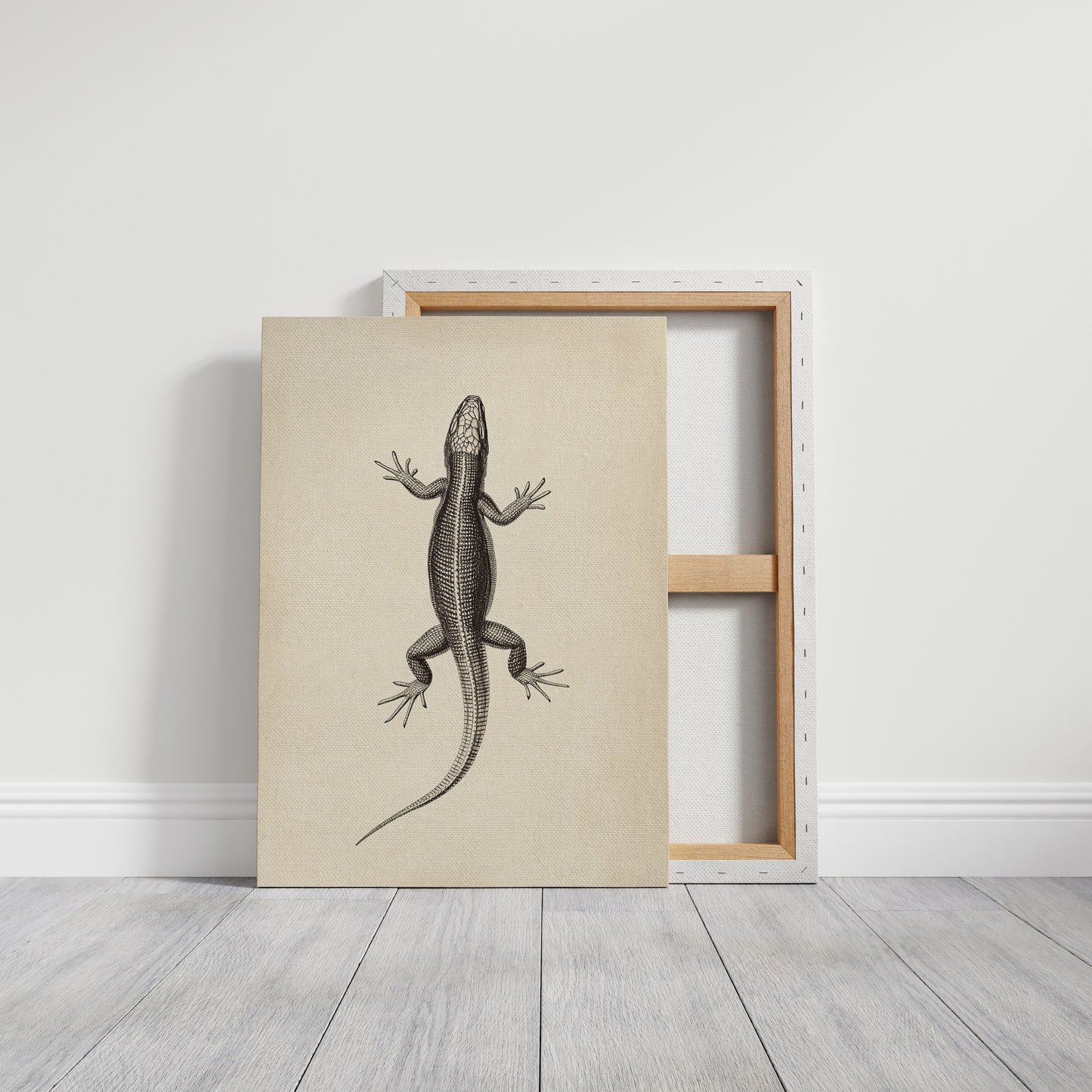 Gallery Canvas image 1