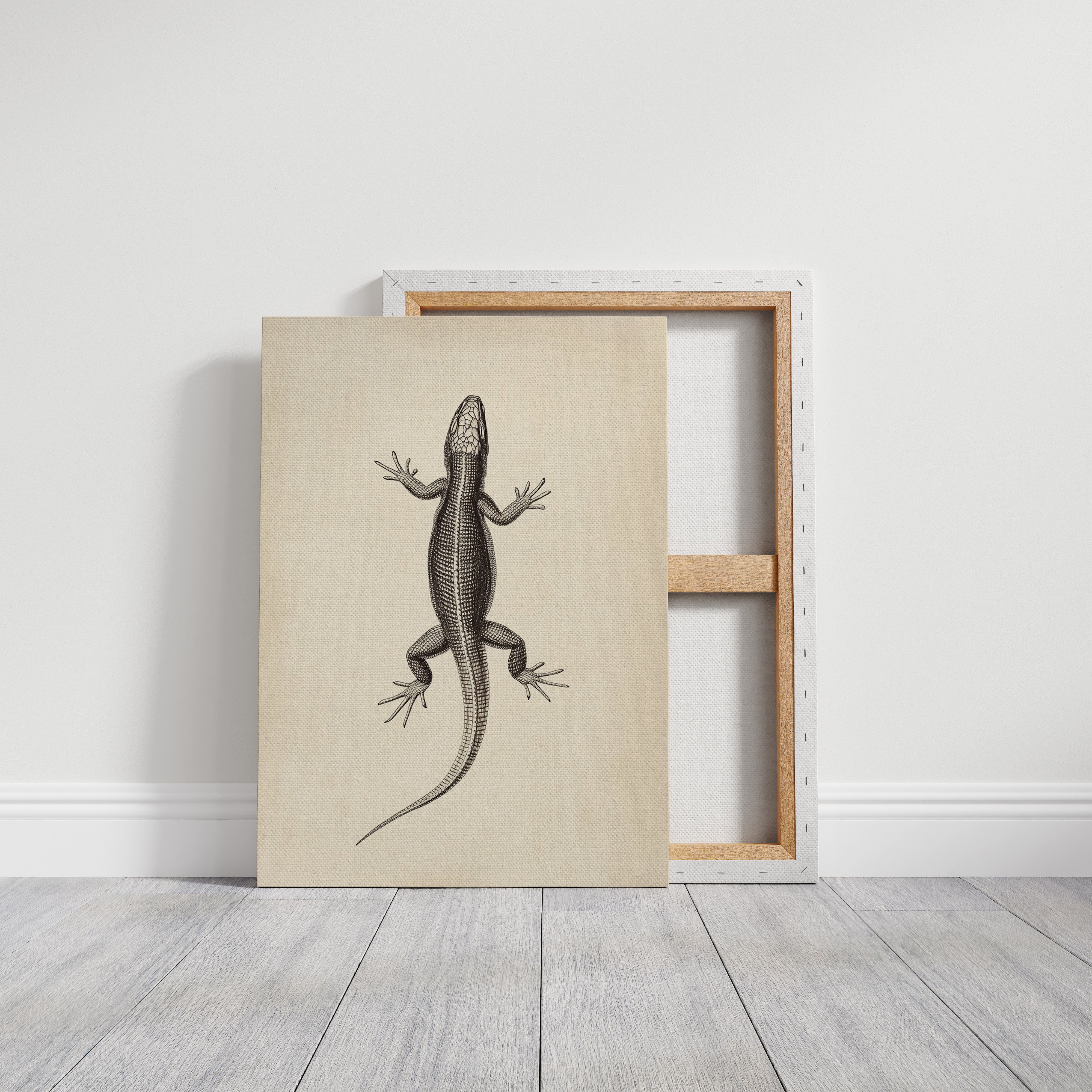 Gallery Canvas image 1