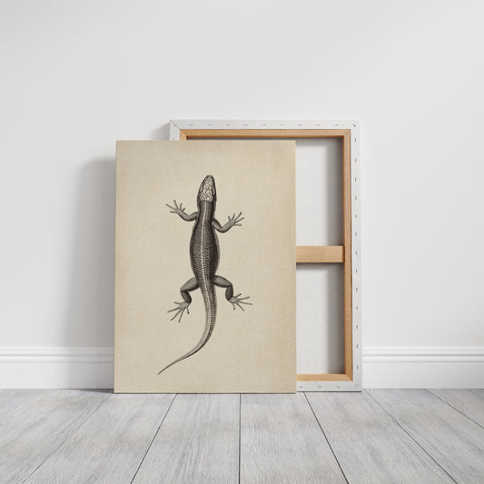 Gallery Canvas image 1