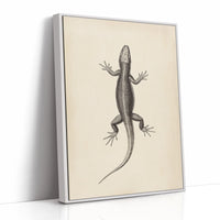 White Framed Canvas image 1