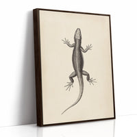 Brown Framed Canvas image 1