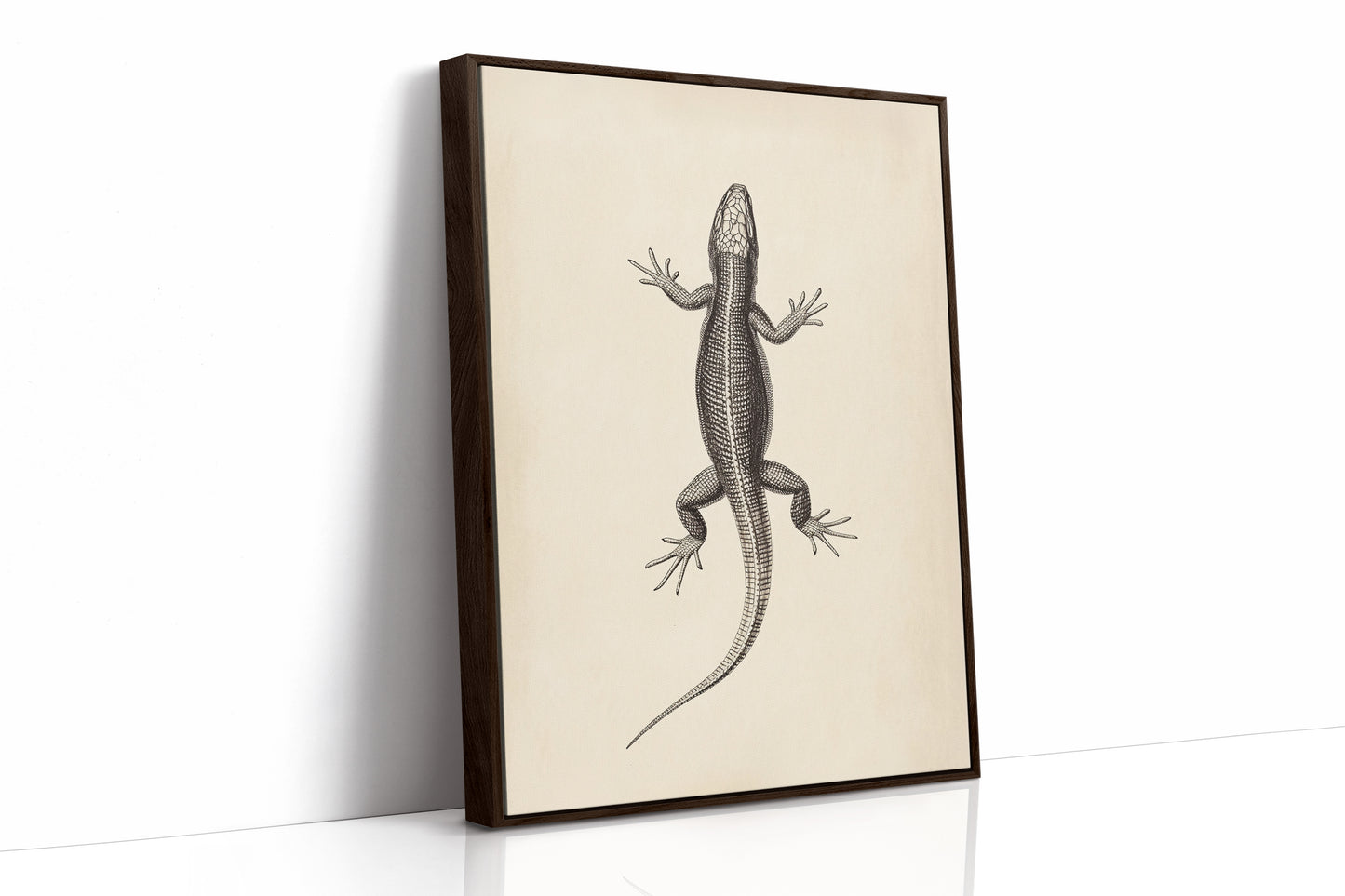 Brown Framed Canvas image 1