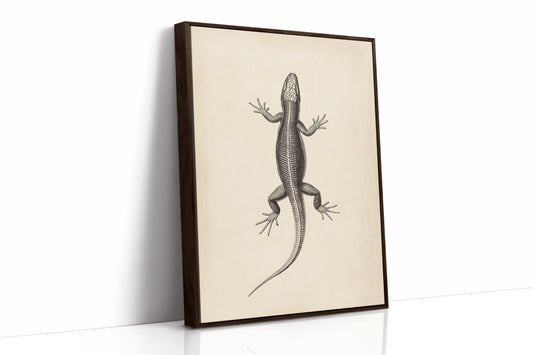 Brown Framed Canvas image 1