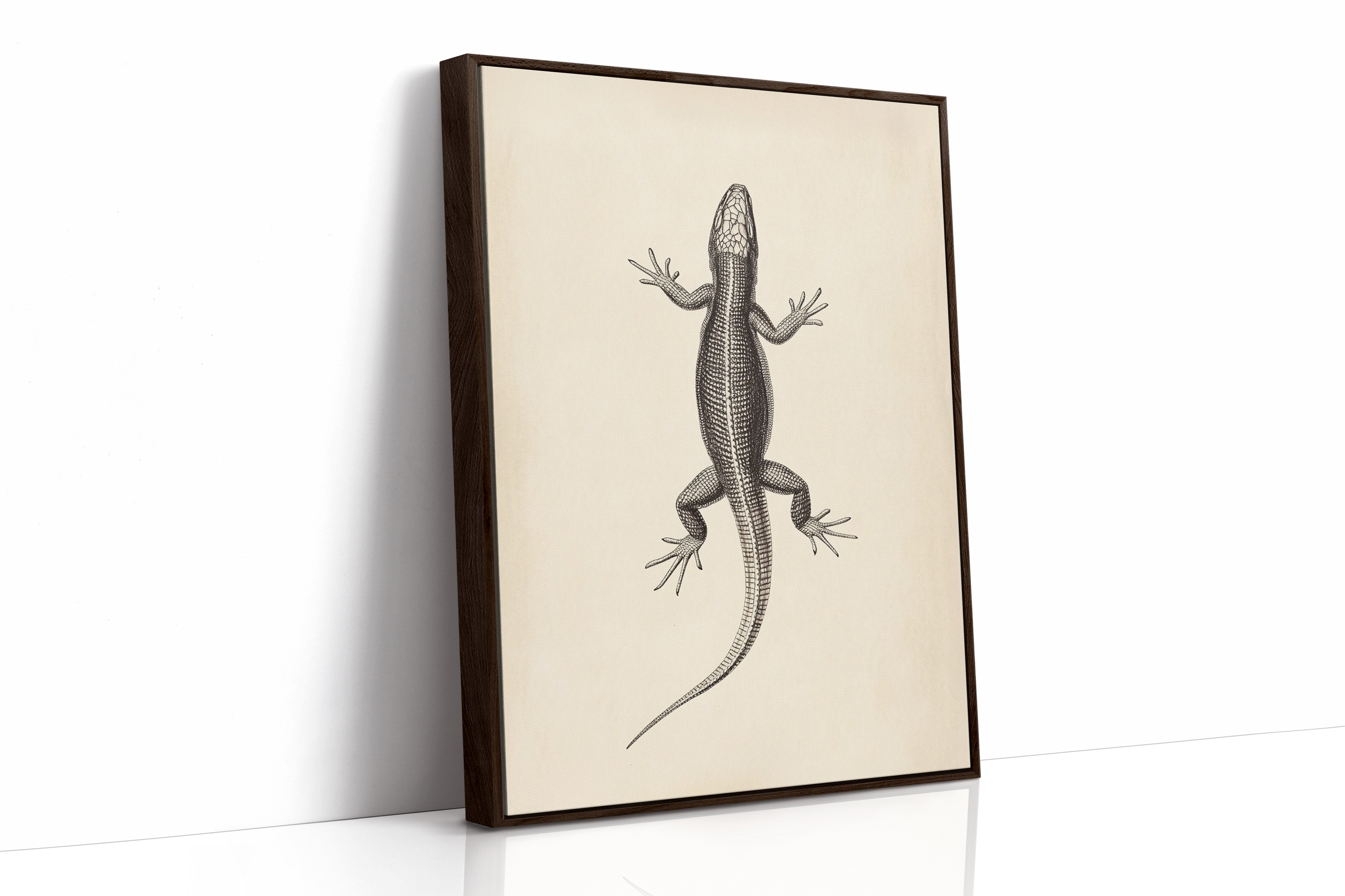Brown Framed Canvas image 1