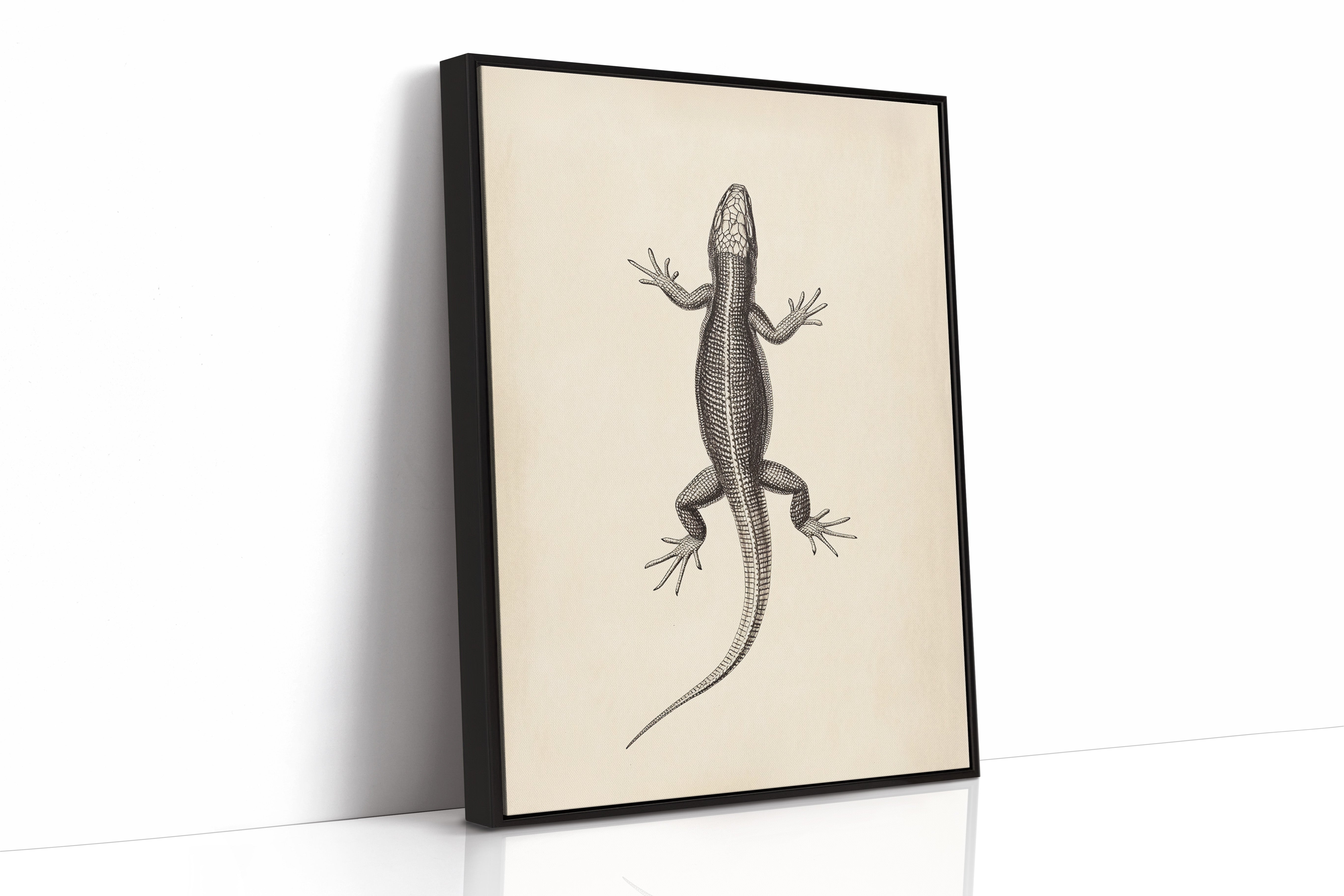 Black Framed Canvas image 1