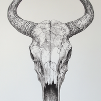 Gallery image 3 for Western Bull Skull Line Art Print – Rustic Cowboy Wall Decor