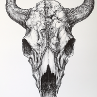 Gallery image 7 for Western Bison Skull – Black Ink Rustic Wall Art