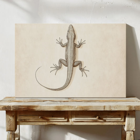 Gallery image 9 for Desert Dweller – Vintage Lizard Scientific Illustration Print