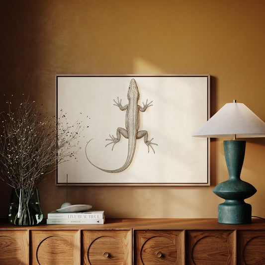 Gallery image 13 for Desert Dweller – Vintage Lizard Scientific Illustration Print