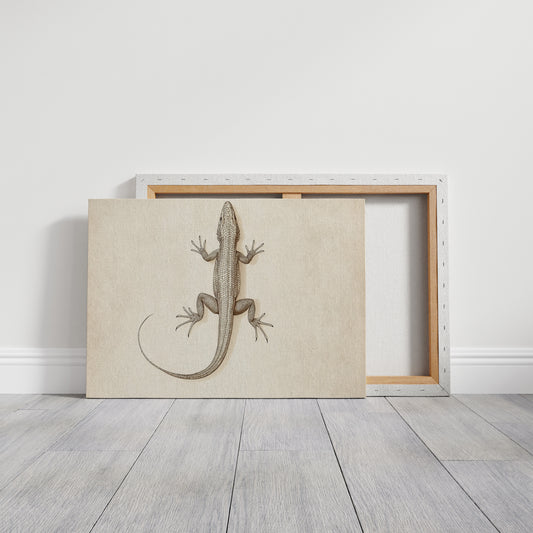 Gallery Canvas image 1