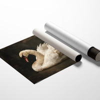 Ivory Grace Against Darkness