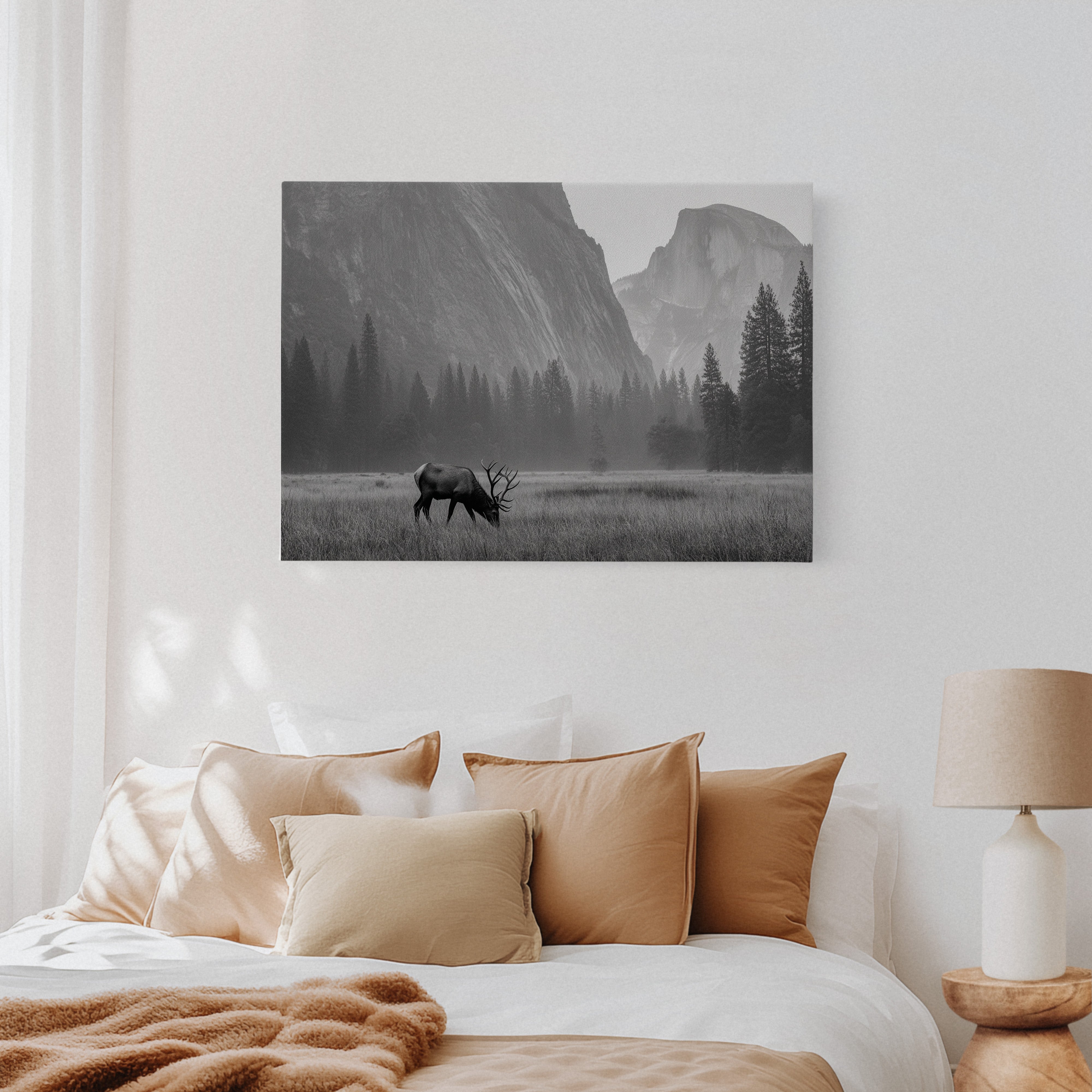 Lone Elk Graces Valley Floor