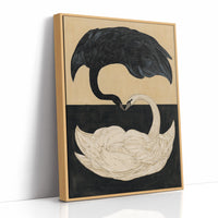 Two Swans, One Heart