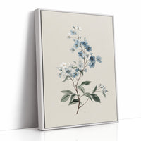 Ethereal Whispers in Powder Blue