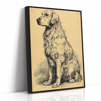 The Good Old Boy: Vintage Setter Sketch