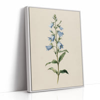 Botanical Elegance: Bellflower's Delicate Symphony