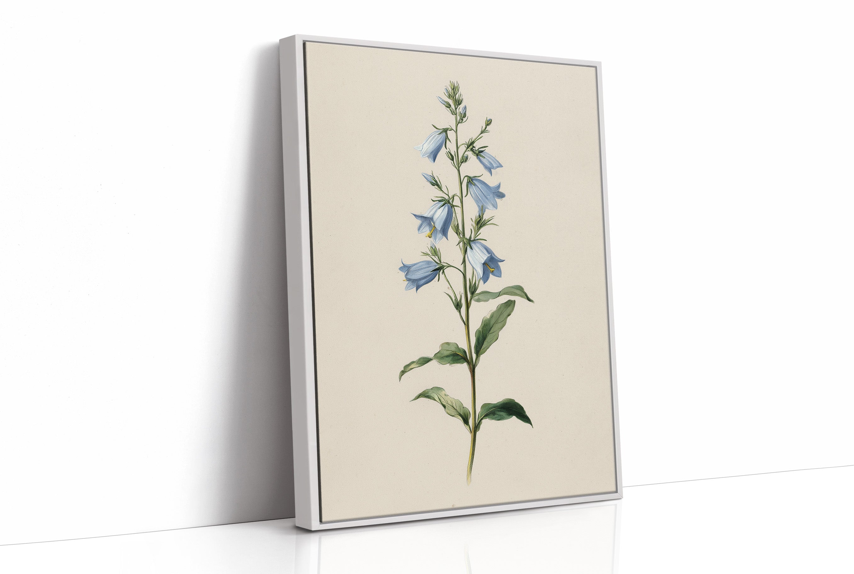 Botanical Elegance: Bellflower's Delicate Symphony