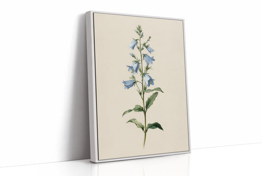 Botanical Elegance: Bellflower's Delicate Symphony