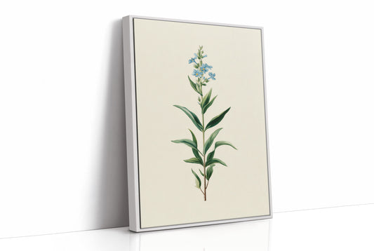 Azure Elegance: Botanical Study of Forget-Me-Not
