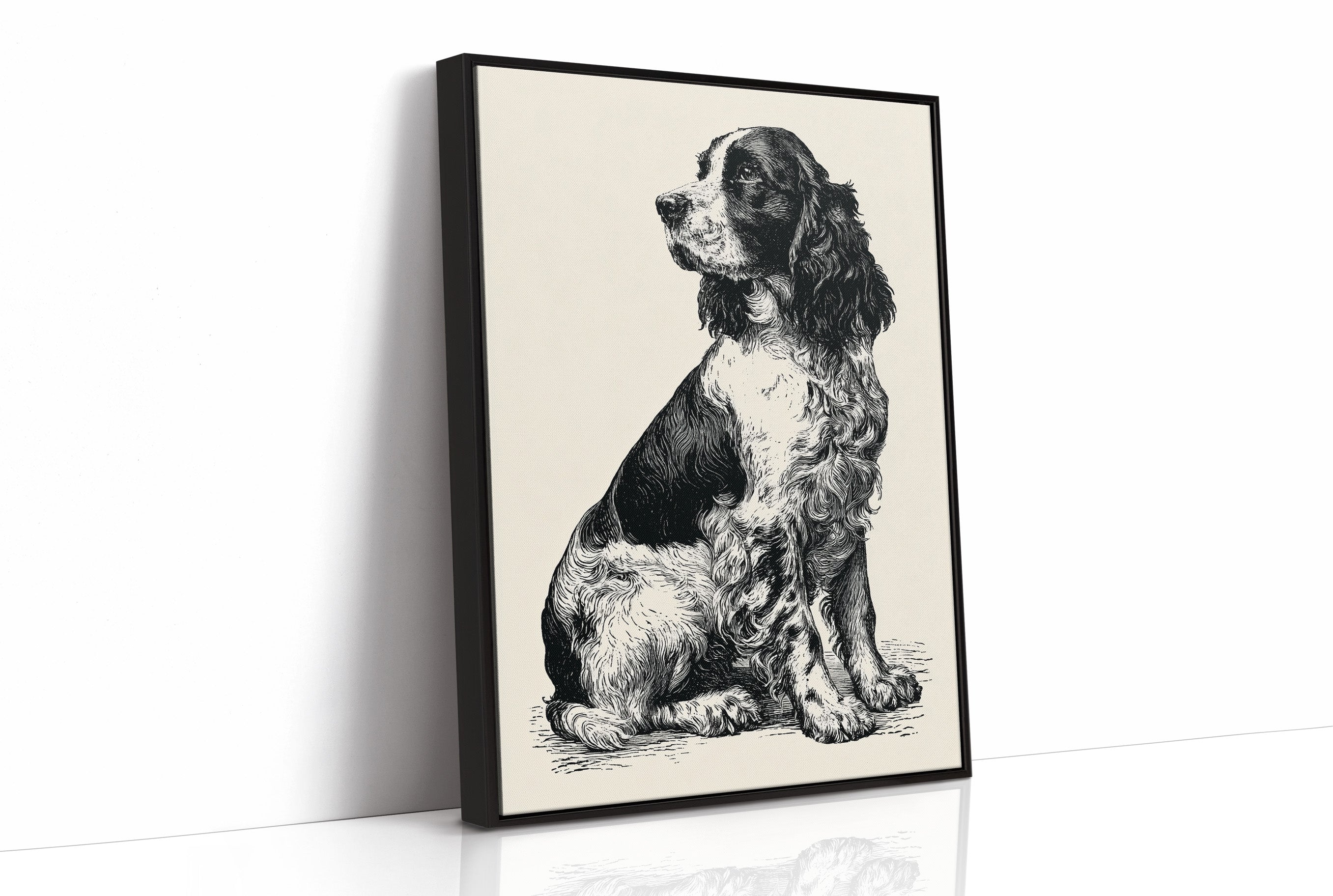 The Springer's Quiet Profile