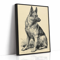Ever Alert: Vintage Shepherd Sketch