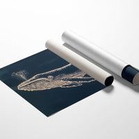 Ocean Giant Exhales Stardust Dreams