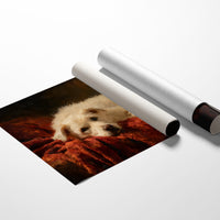 Loyal Companion Rests On Crimson Velvet