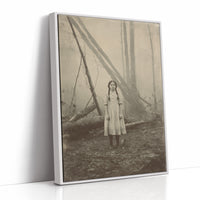 Between Fog And Fallen Trees