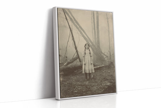 Between Fog And Fallen Trees