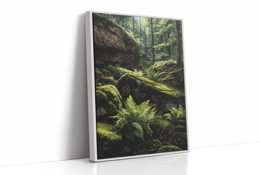 Ancient Ferns Catch Golden Light